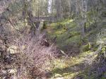 Klikk p� bilete for full storleik